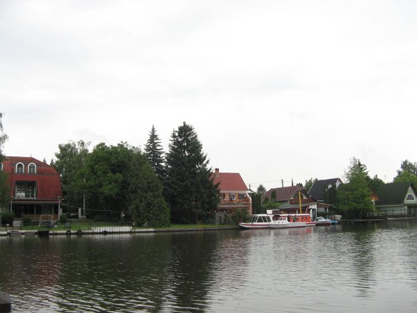 Szarvas 029
